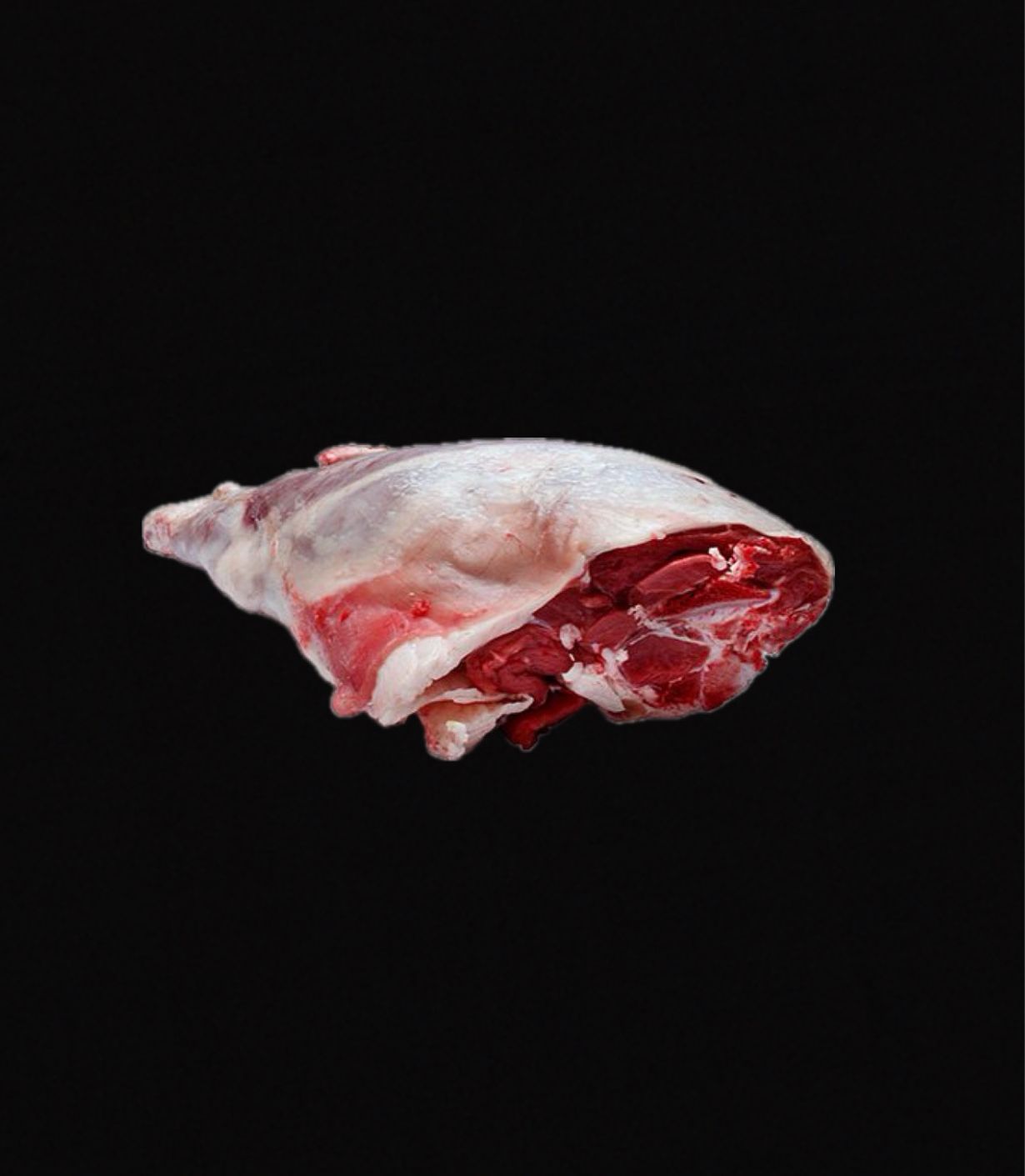 Lamb Leg