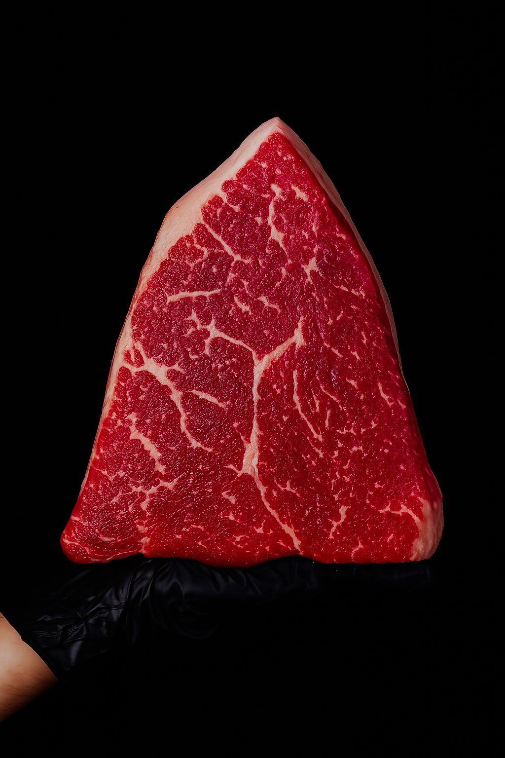 Rump Cap / Picahna
