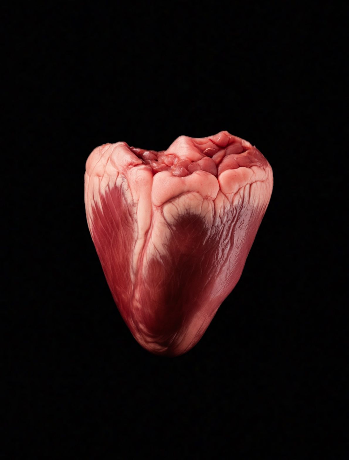 Heart (corazon)